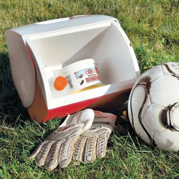 Cool Box, leer - Servoprax