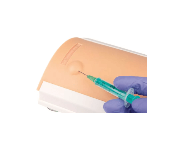 Intradermaler Injektionstrainer – realistisches Übungsmodell für die intradermale Injektionstechnik - Erler - Zimmer