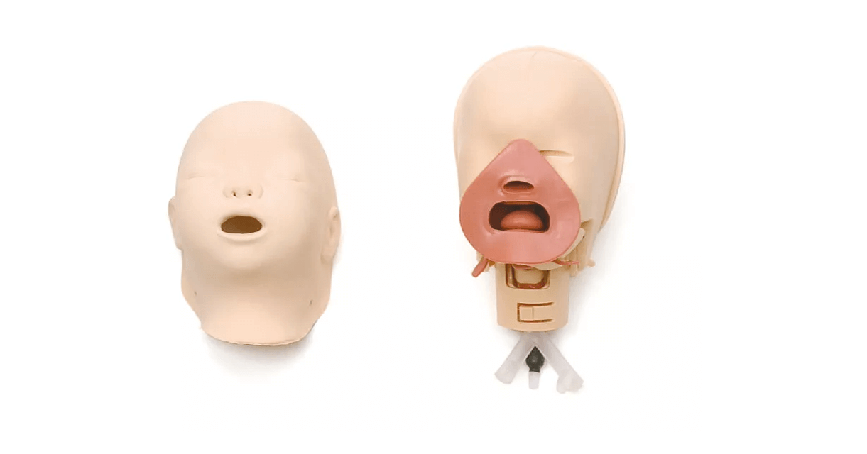 Neugeborenen Intubationstrainer - Erler - Zimmer