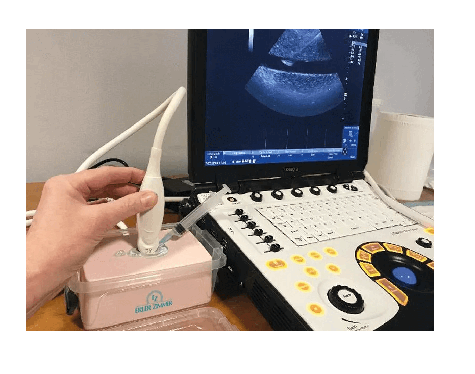 SonoEZ Ultraschalltrainer "ECHO" - Erler - Zimmer