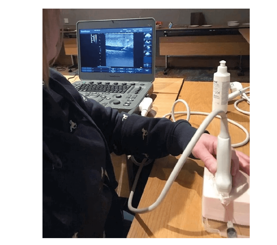 SonoEZ Ultraschalltrainer "Injektion" - Erler - Zimmer