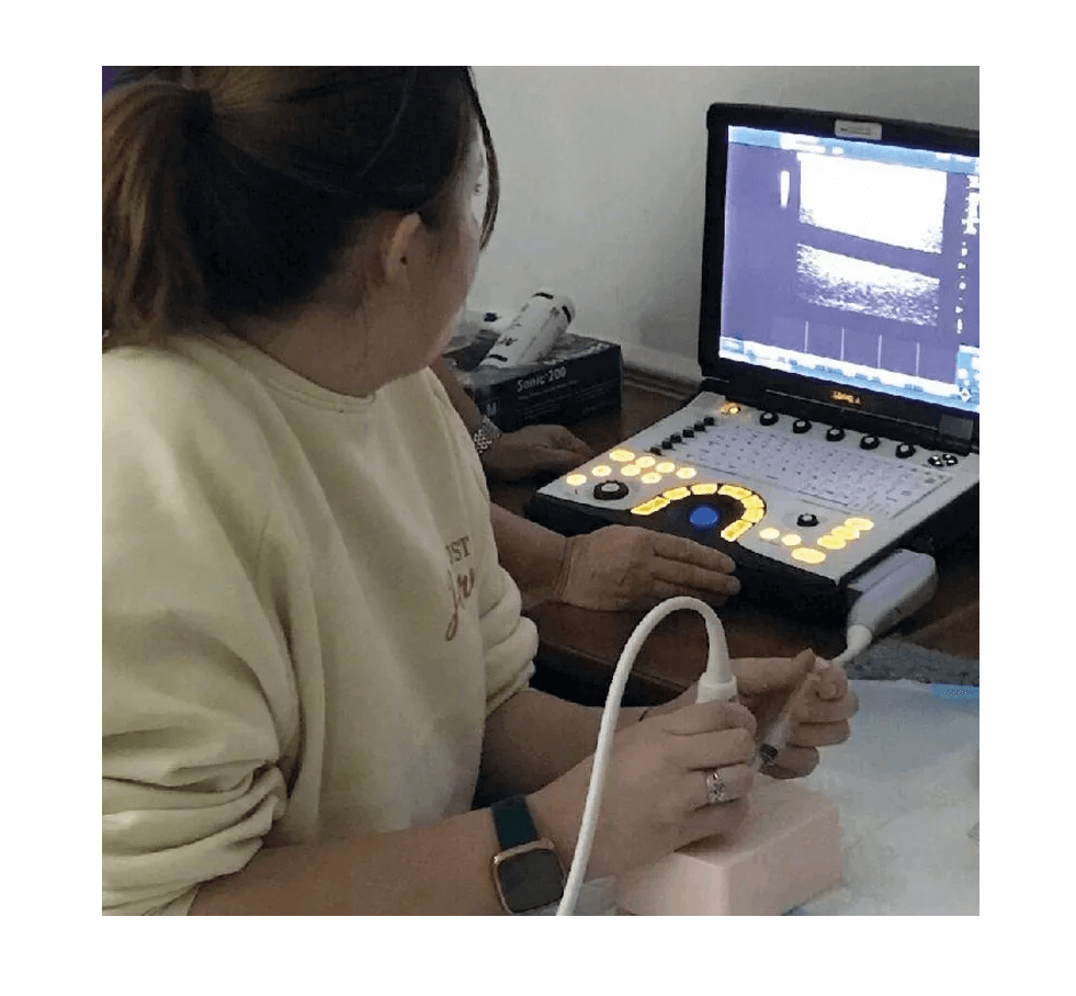 SonoEZ Ultraschalltrainer "Nerv" - Erler - Zimmer