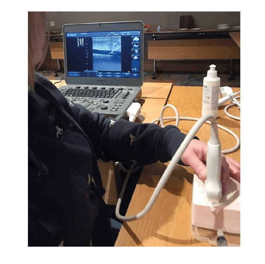 SonoEZ Ultraschalltrainer "Nerv" - Erler - Zimmer