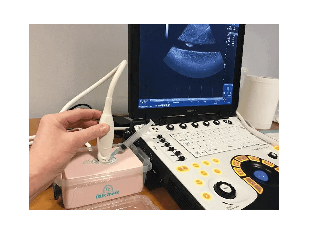 SonoEZ Ultraschalltrainer "Nerv" - Erler - Zimmer