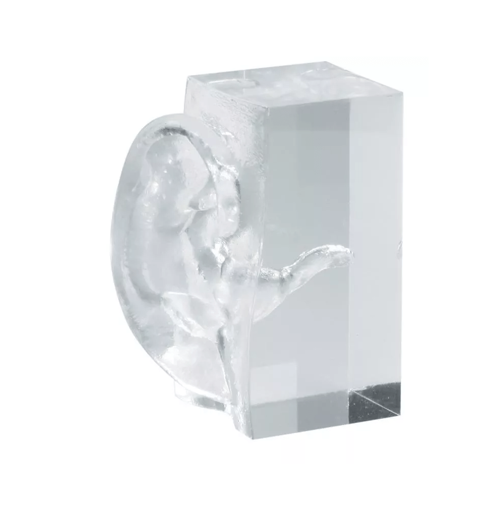 Transparentes Ohrmodell - Erler - Zimmer