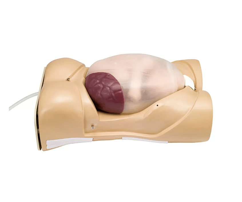 Schwangerschafts - Untersuchungs - Modell mit Herzton - Simulation - Erler - Zimmer