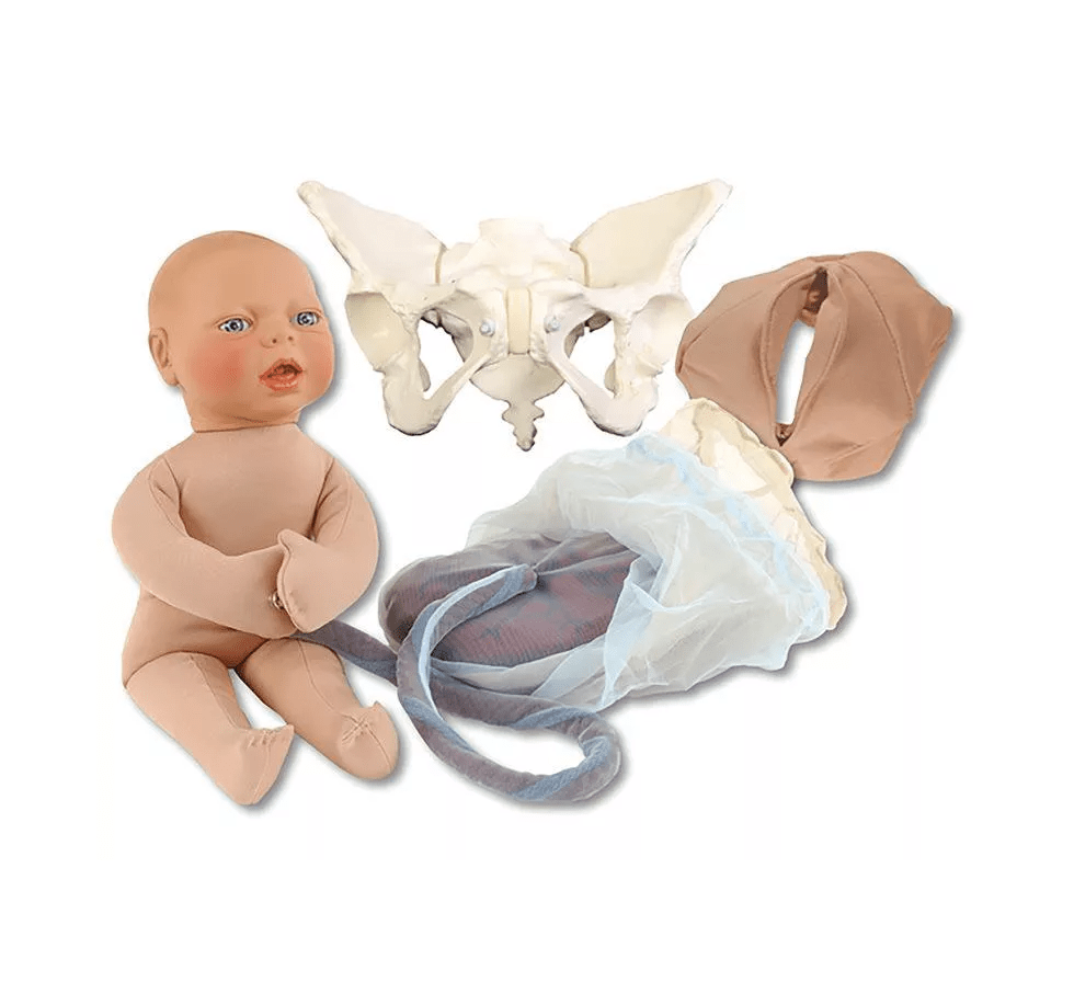 Luxus Geburtsmodell - Set - Erler - Zimmer