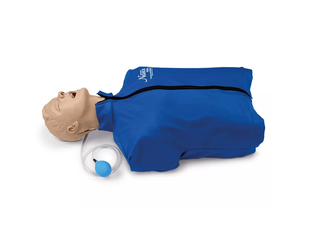 Airway Larry Erwachsenen - Airway Management Trainer Torso - Erler - Zimmer