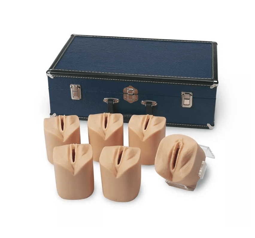 Simulator für zervikale Dilatation und Verstreichen des Muttermundes - Erler - Zimmer