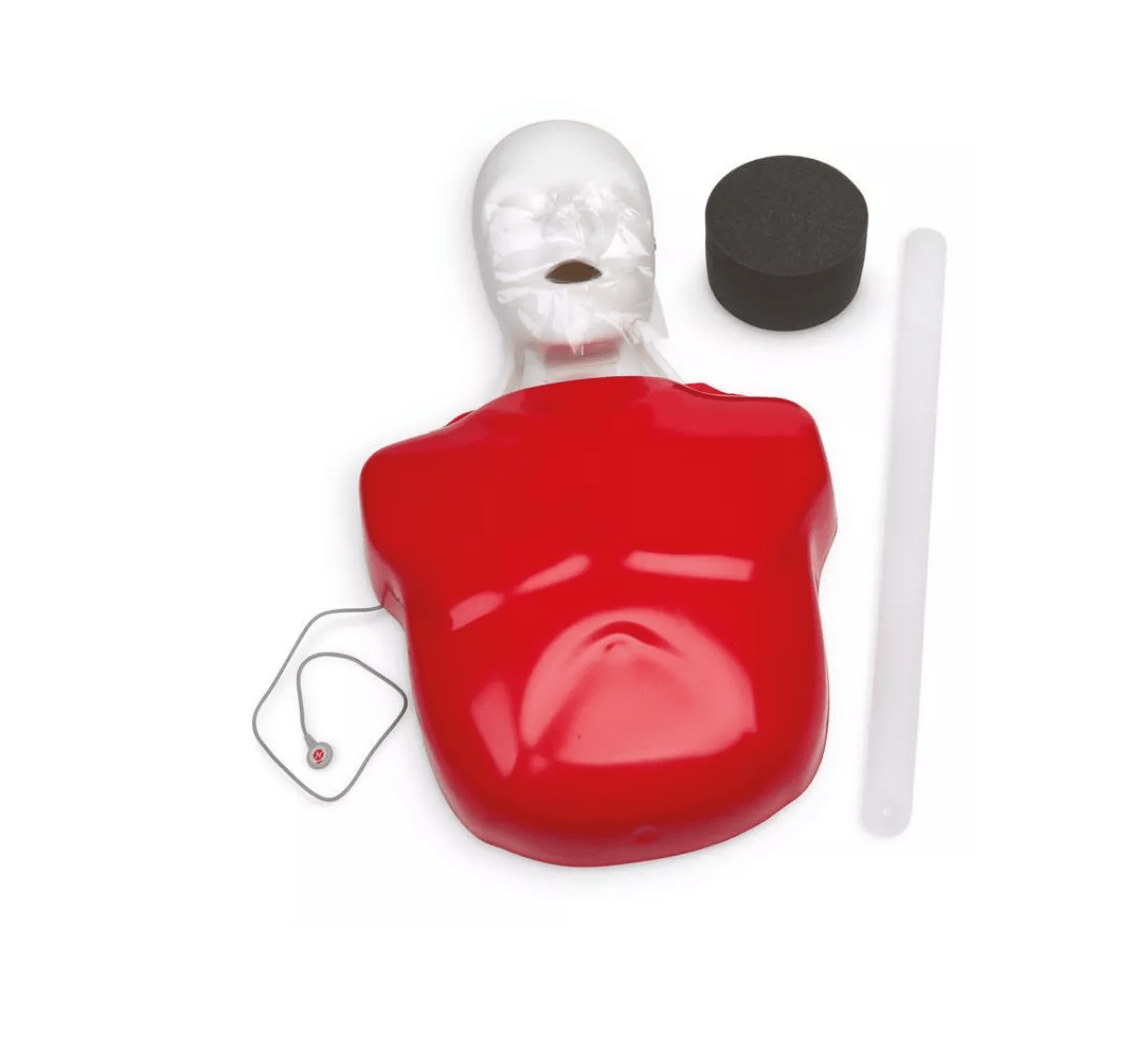 Basic Buddy Plus - Erler - Zimmer