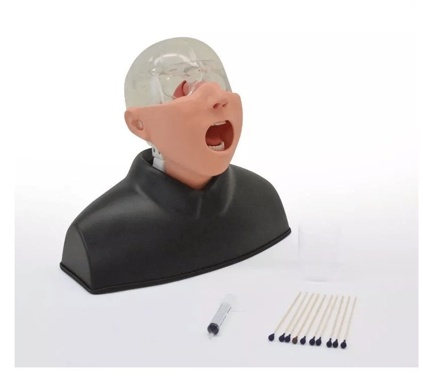Nasopharyngealer Abstrichsimulator - Erler - Zimmer