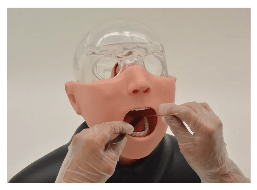 Nasopharyngealer Abstrichsimulator - Erler - Zimmer