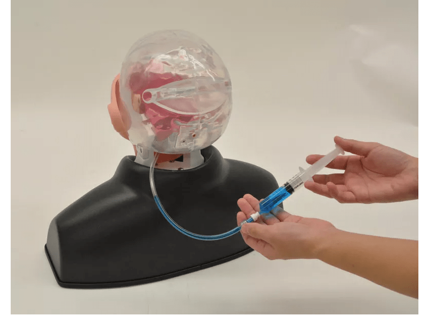 Nasopharyngealer Abstrichsimulator - Erler - Zimmer