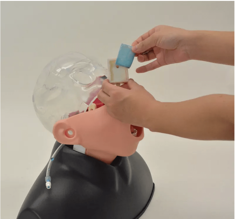 Nasopharyngealer Abstrichsimulator - Erler - Zimmer
