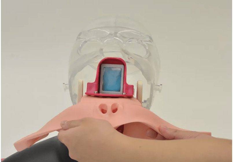 Nasopharyngealer Abstrichsimulator - Erler - Zimmer