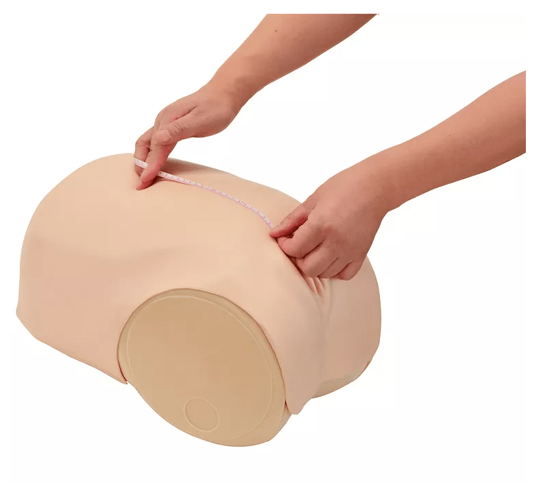 Simulator zur Uterus - Rückbildungsuntersuchung - Erler - Zimmer