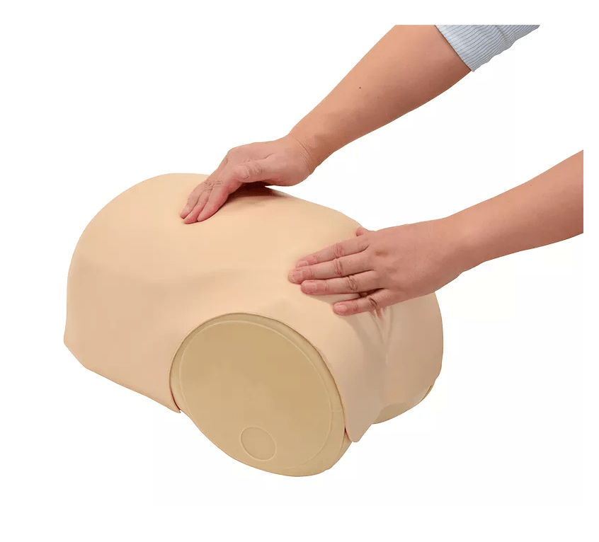 Simulator zur Uterus - Rückbildungsuntersuchung - Erler - Zimmer