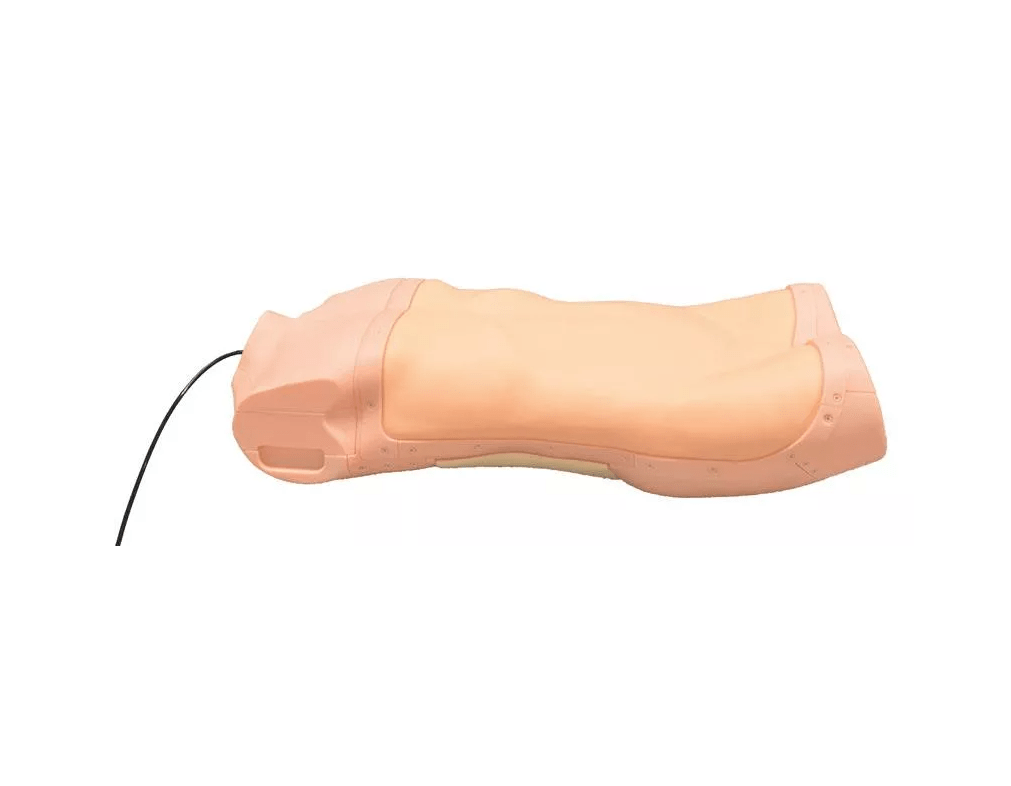 Abdominaler Untersuchungs - Simulator - Erler - Zimmer