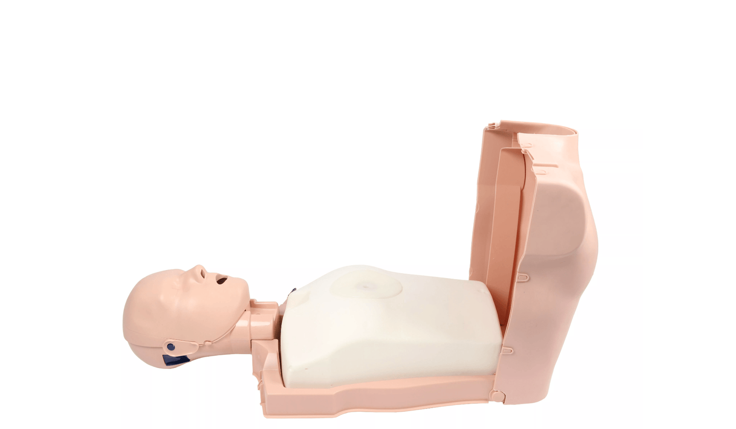 Prestan Pro+ HLW - Torso mit Leuchtanzeige - Erler - Zimmer