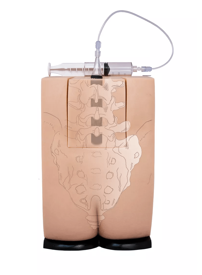 Epidural - und Spinalinjektionssimulator Genesis - Erler - Zimmer
