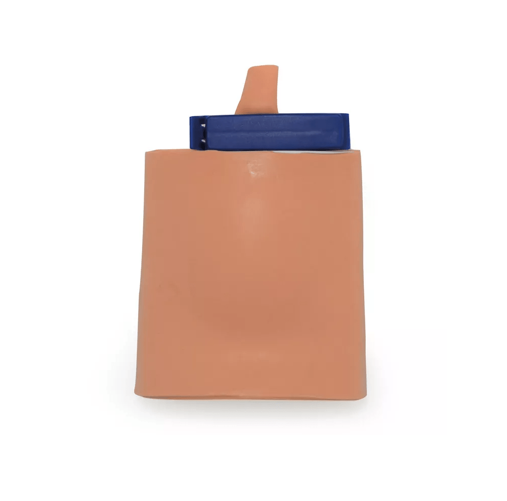 Blasenpunktionstrainer (Zystozentese) - Erler - Zimmer