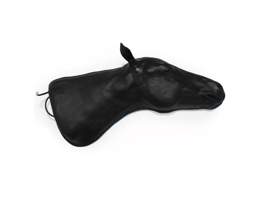 Pferde Simulator 1.0 - Erler - Zimmer