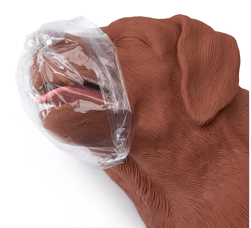 HLW Übungshund CasPeR - Erler - Zimmer