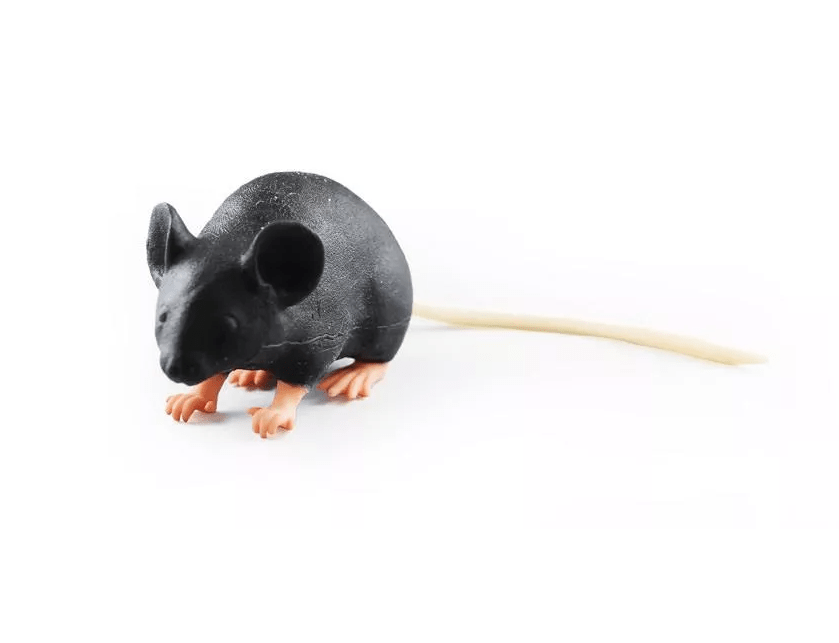Mimicky Mouse - Erler - Zimmer