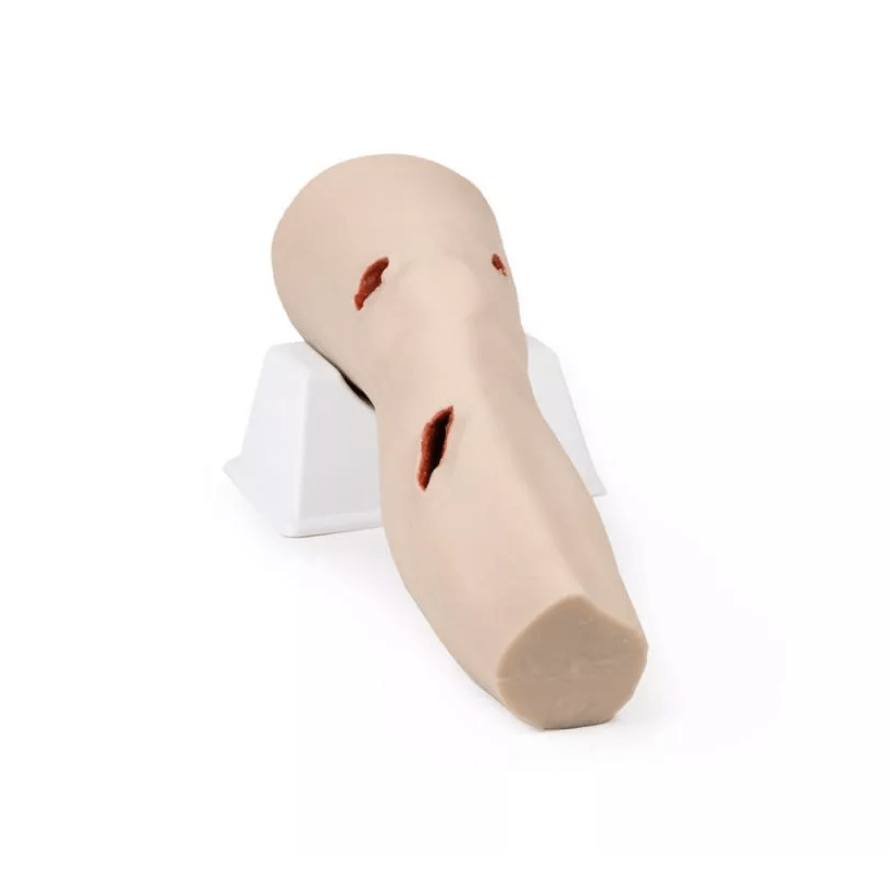 Trauma Bein Tasktrainer - Erler - Zimmer