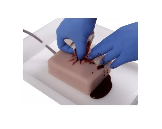 Wound Packing Trainer - Erler - Zimmer