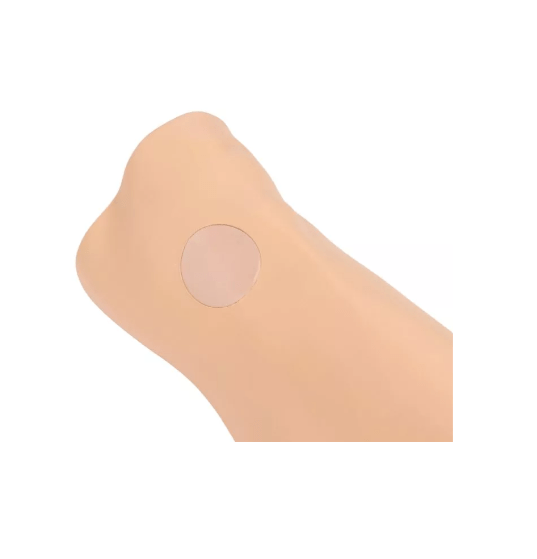 Louis Leg - intraossärer Task Trainer - Erler - Zimmer