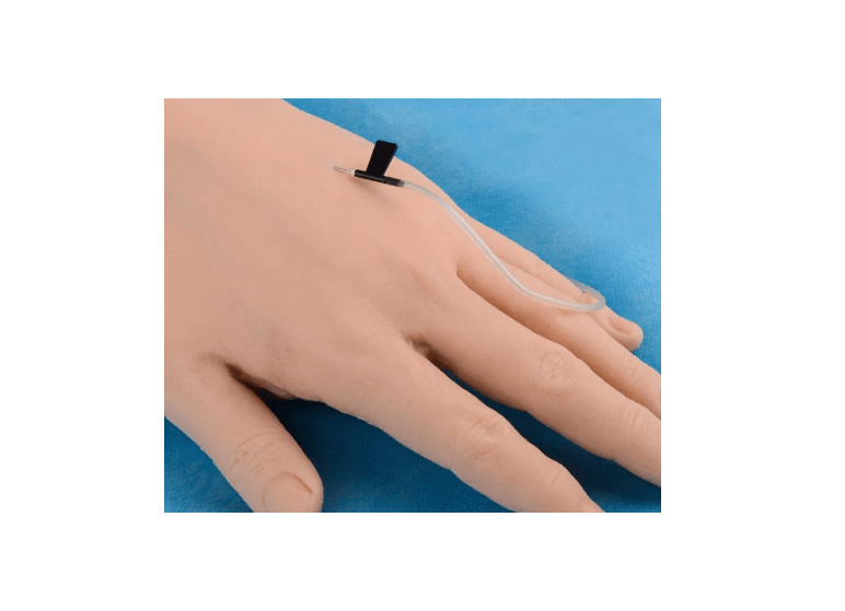 IV Hand - Erler - Zimmer