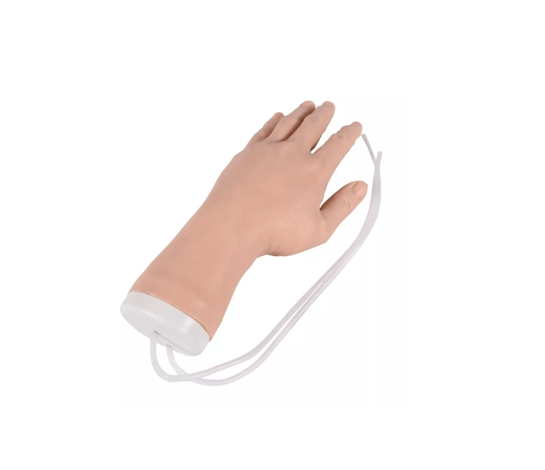 IV Hand - Erler - Zimmer