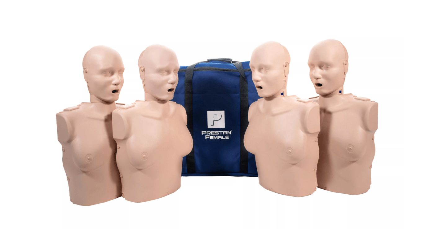 Prestan HLW - Torso weiblich mit Leuchtanzeige - Erler - Zimmer