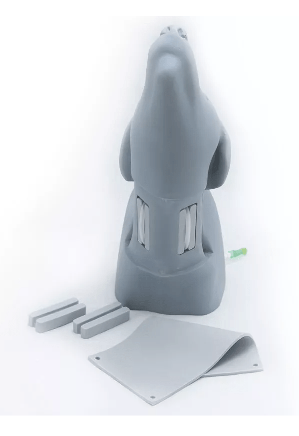 Hundekopf Gefäßzugangssimulator - Erler - Zimmer