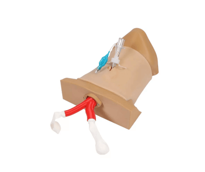 Crico Chris – Koniotomie Task Trainer - Erler - Zimmer