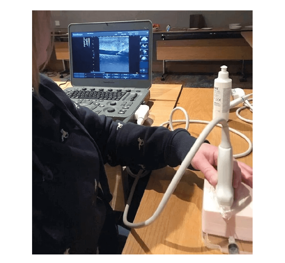 SonoEZ Ultraschalltrainer "tiefe Venenthrombose - Erler - Zimmer