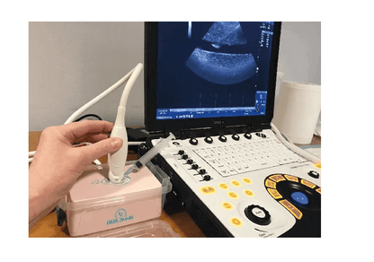 SonoEZ Ultraschalltrainer "tiefe Venenthrombose - Erler - Zimmer