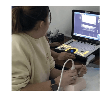 SonoEZ Ultraschalltrainer "Injektion" - Erler - Zimmer