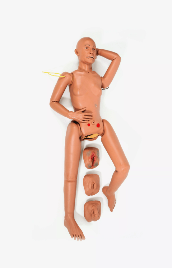 DANi Teenager und junge Erwachsene Patienten Skills Trainer - Erler - Zimmer
