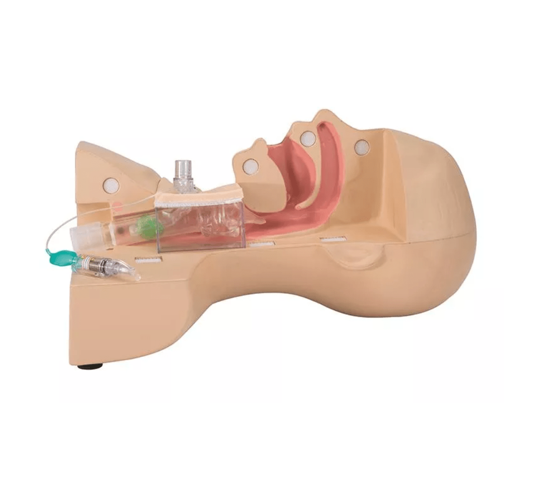 Tracheostomie Management Simulator - Erler - Zimmer