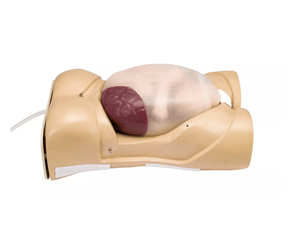 Schwangerschafts - Untersuchungs - Modell mit Herzton - Simulation - Erler - Zimmer