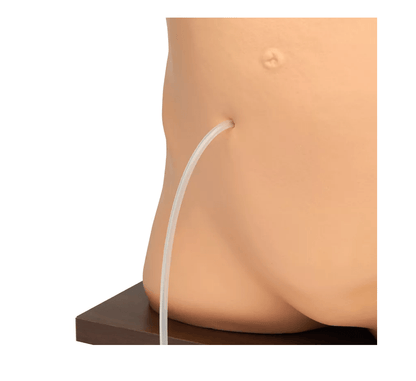 Peritonealdialyse - Simulator - Erler - Zimmer