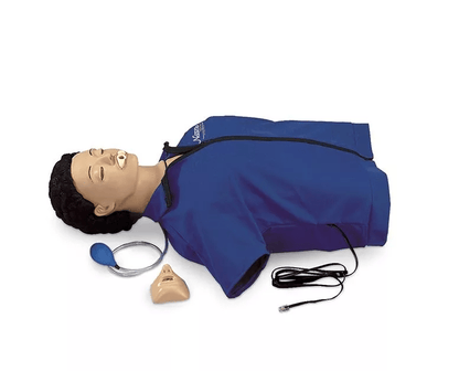 Wiederbelebungstorso Erwachsener - Erler - Zimmer
