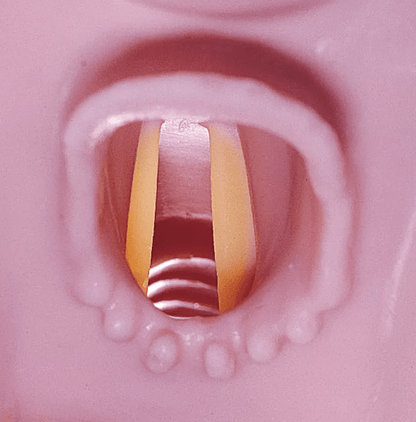 Airway Larry Atemweg - Trainer für R10052 - Erler - Zimmer