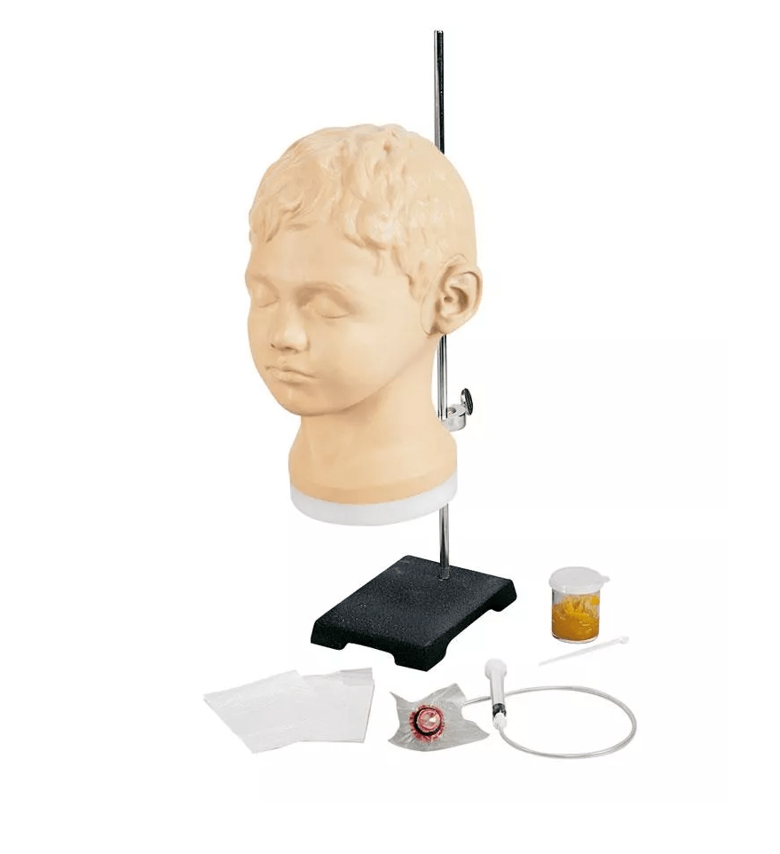 Diagnostischer und methodischer Ohrtrainer - Erler - Zimmer