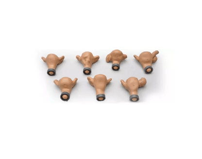 Set mit sieben Uteri für R10183 - Erler - Zimmer