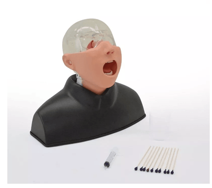 Nasopharyngealer Abstrichsimulator - Erler - Zimmer