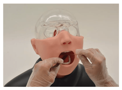 Nasopharyngealer Abstrichsimulator - Erler - Zimmer