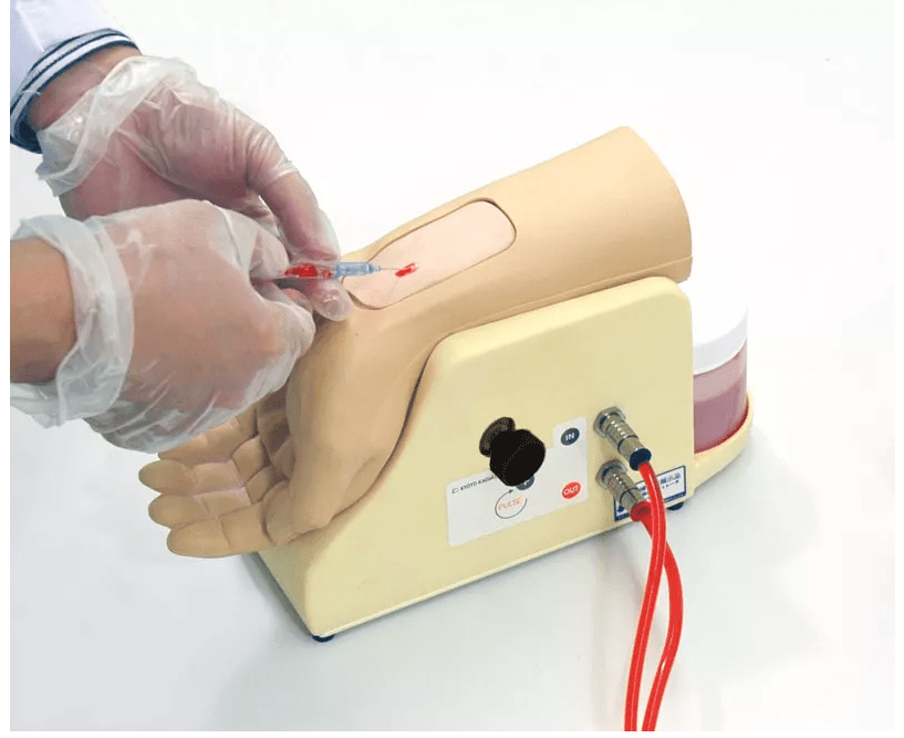 Handgelenk zur Arterienpunktion - Erler - Zimmer
